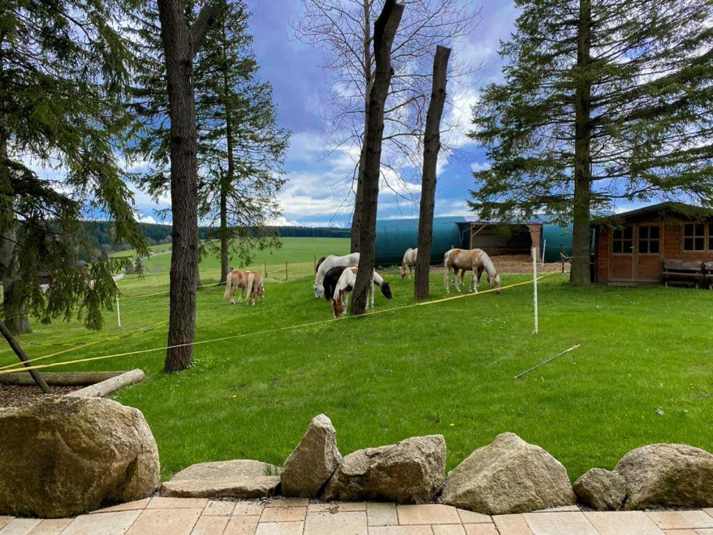 Naturstammhaus Und Appartements Zum Brockenbaecker Tanne Zewnętrze zdjęcie